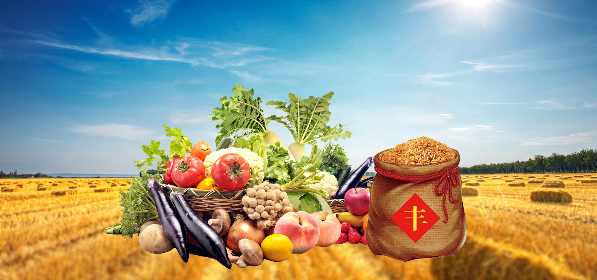 欧亚经济联盟计划建立有机农产品统一市场